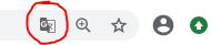 Google translate button in de browser
